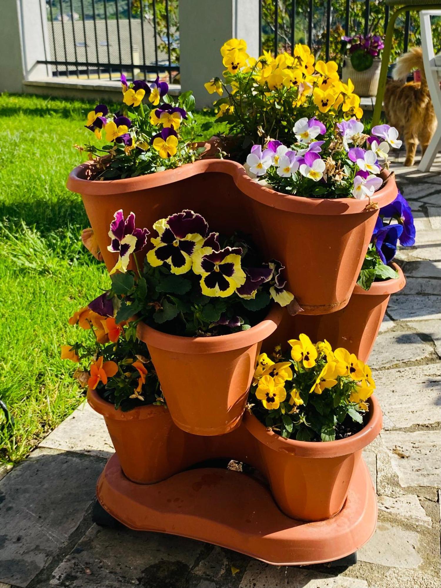 Bed and Breakfast Dimora Il Campanile Chieti Exterior foto
